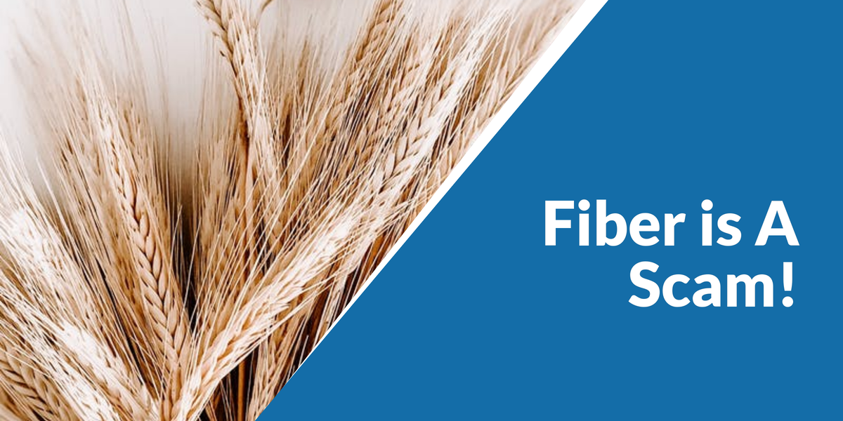 You are currently viewing Fiber Is A Scam