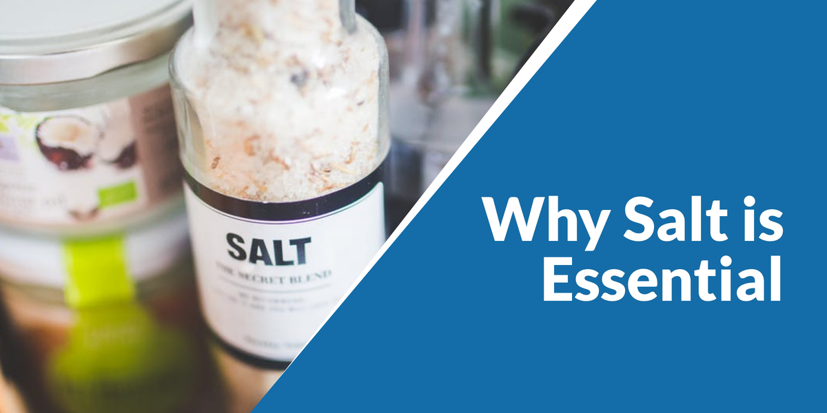You are currently viewing Why Salt is Essential