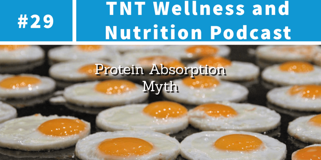 Read more about the article Podcast Episode 29 Protein Absorption Myth