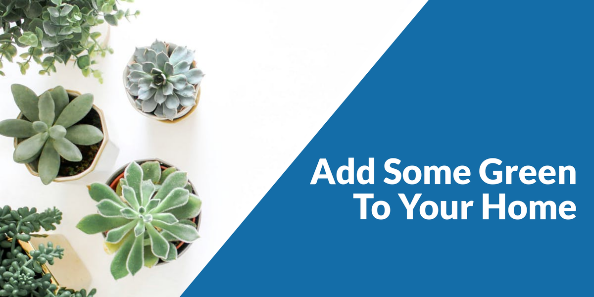 You are currently viewing Add Some Green to Your Home