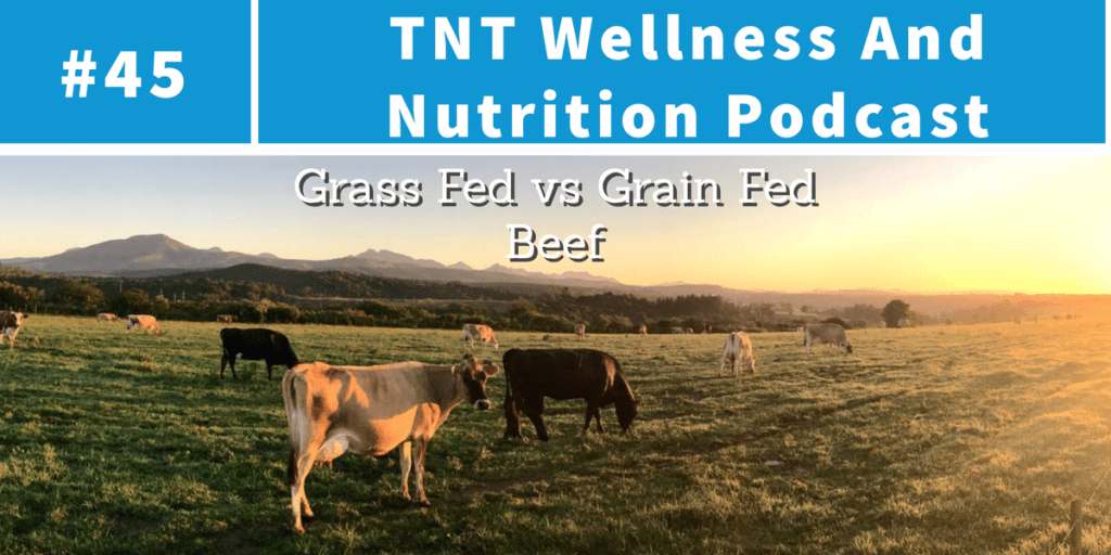 Read more about the article Podcast Episode 45 Grass Fed vs Grain Fed Beef