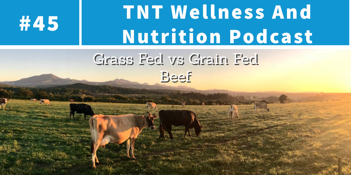 You are currently viewing Podcast Episode 45 Grass Fed vs Grain Fed Beef
