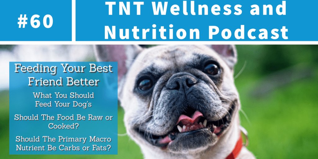 Read more about the article Podcast Episode 60 Feeding Your Best Friend Better