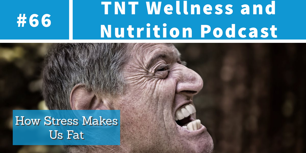 You are currently viewing Podcast Episode 66 How Stress Makes Us Fat
