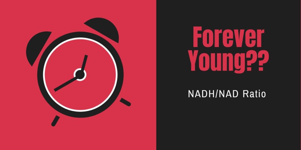 Read more about the article Podcast Episode 74 Forever Young? NADH/NAD Ratio