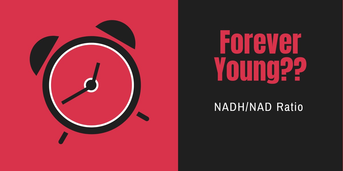 You are currently viewing Podcast Episode 74 Forever Young? NADH/NAD Ratio