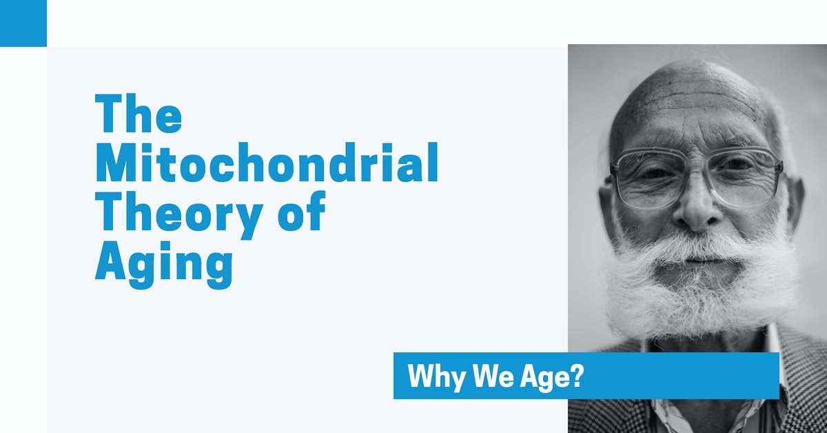 You are currently viewing Podcast Episode 85 Mitochondrial Theory of Aging
