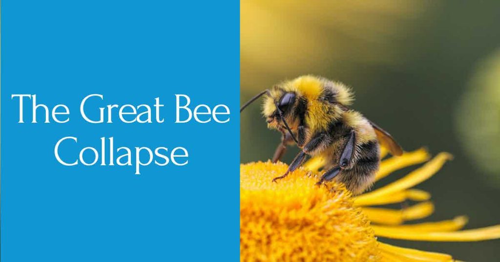 Read more about the article AOW #8 The Great Bee Collapse