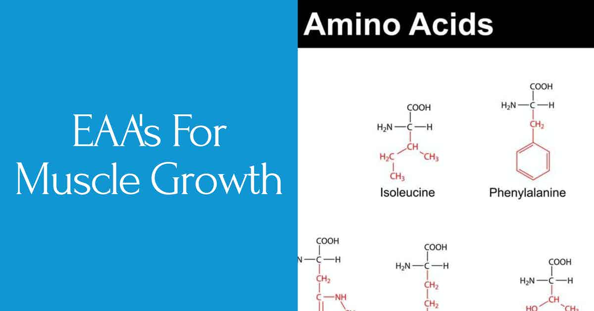 You are currently viewing Podcast Episode 128 EAA’s For Muscle Growth