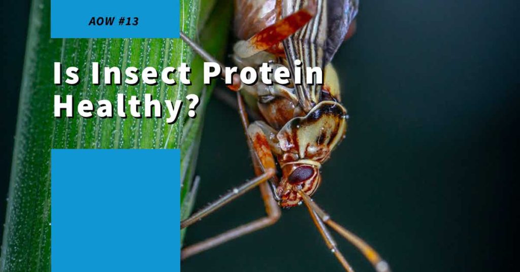 Read more about the article AOW #13 Is Insect Protein Healthy