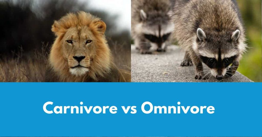 Read more about the article Podcast Episode 137 Carnivore vs Omnivore