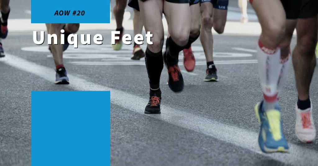 Read more about the article AOW #20 Unique Feet
