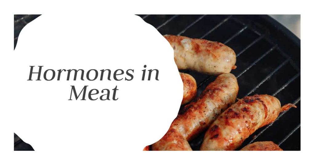 Read more about the article AOW #22 Hormones In Meat