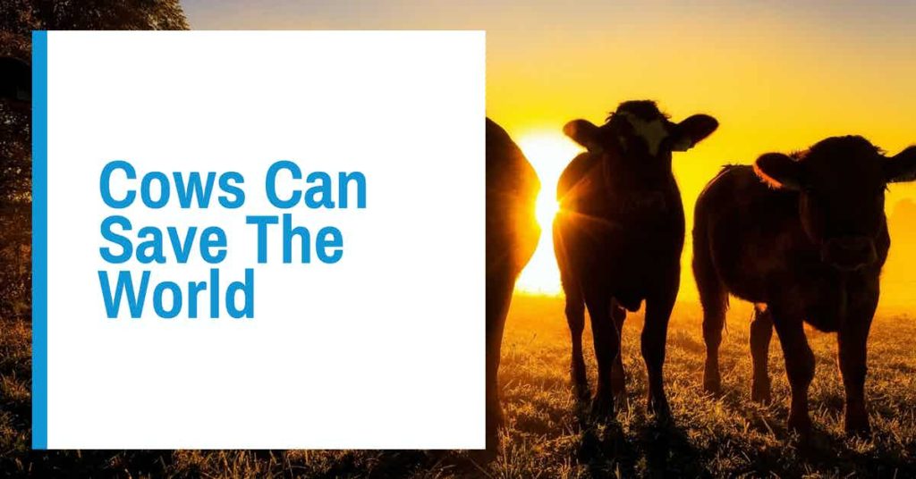 Read more about the article AOW #23 Cows Can Save The World